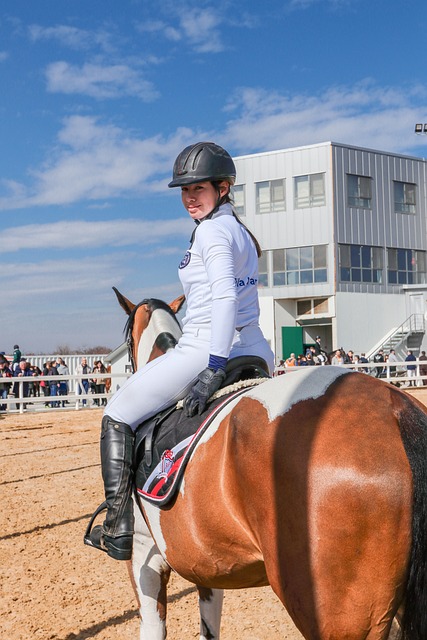 maceta con suculentas hechas a mano